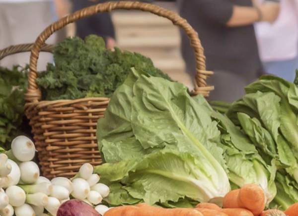 Conimicut Village Farmers Market
