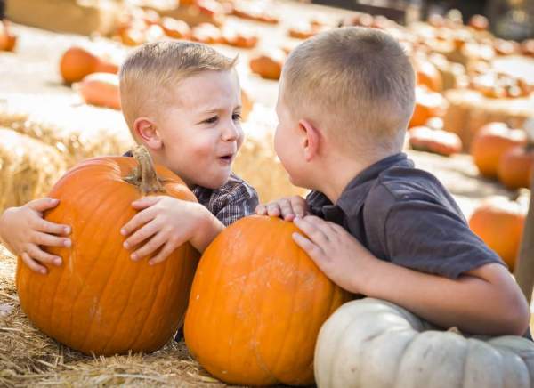 Pumpkin Carving Contest