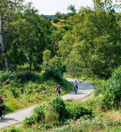 Kincaid park mountain bike trails shop