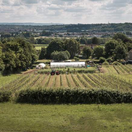 Buttercliff Farm near Bristol - credit Faydit Photography