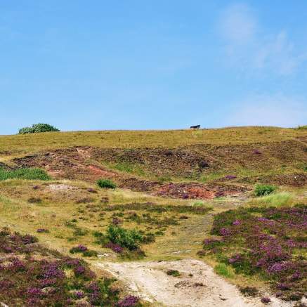 The local's guide: St George