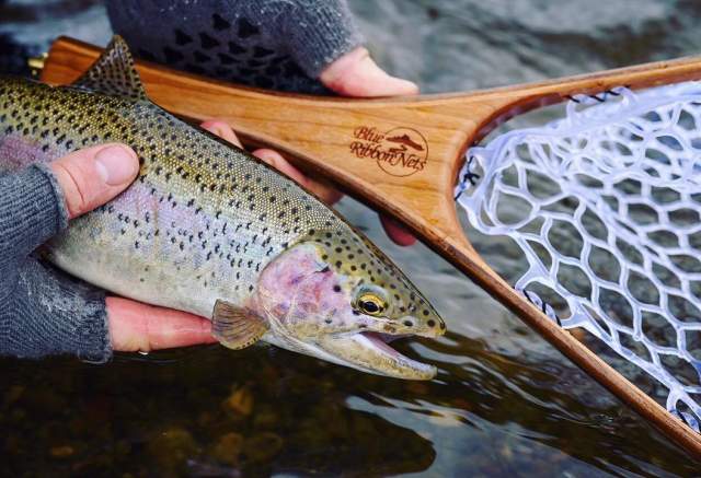 Photo by user brnbozeman, caption reads Oh hey, semi-spring! 🌱
.
.
.
#buylocal #flyfishing #handmade #flyfishingnets #montana #madeinmontana #blueribbonnets #bozeman #bigskymt #flyfishinglove #troutfitters #flyfishing  #flyfishinggear #fishwithfriends #montanaflyfishing  #madeinmontana #fishwithfriends