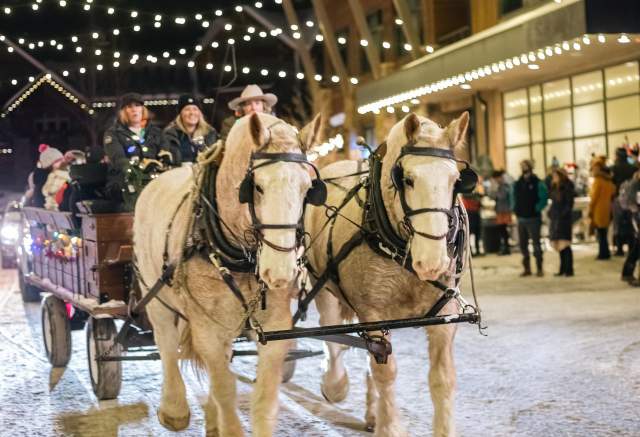 Wagon Rides at Christmas Stroll