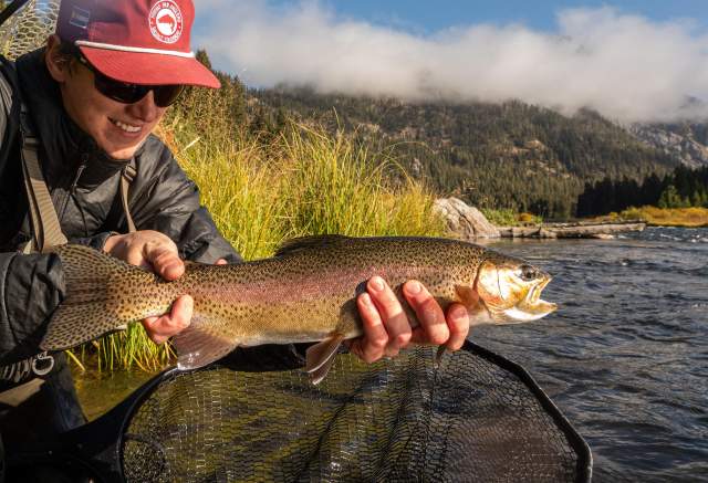 A person in a cap holds a rainbow trout by a riverbank, surrounded by tall grass and mountains under a partly cloudy sky.