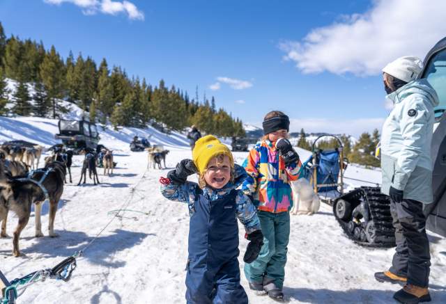 Two children play in a snowy landscape, surrounded by sled dogs and snow-covered trees. A person in winter gear stands nearby, with vehicles in the background.