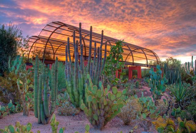 Phoenix Zip Code