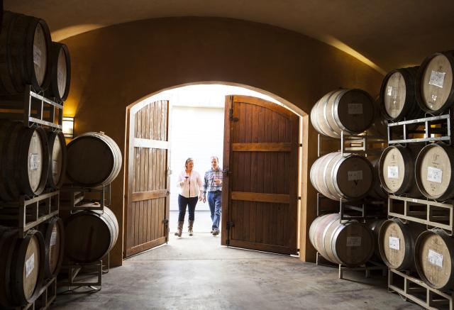 Apolloni Vineyards in Carlton, Oregon