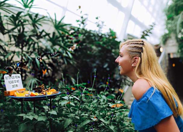 Butterfly Conservatory