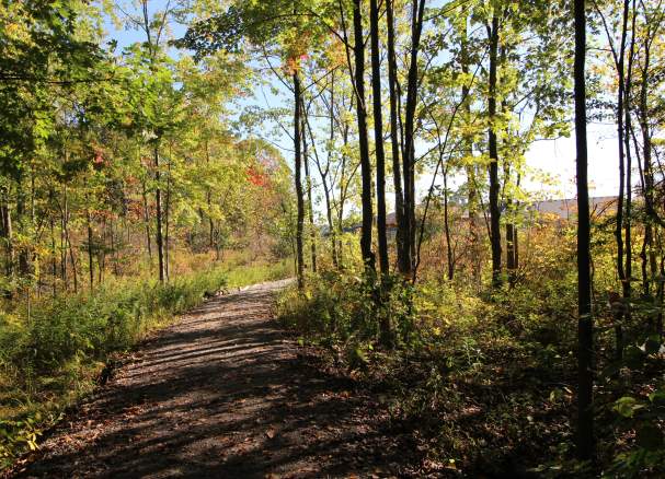 Heartland Forest