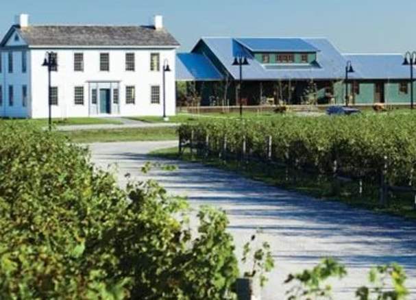 Ravine Vineyard Estate Winery