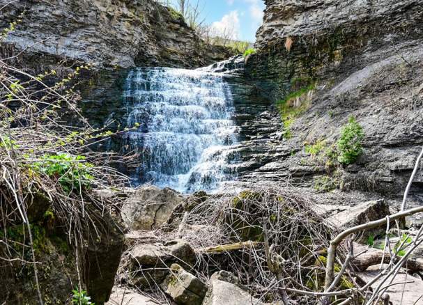 Rockway Conservation Area