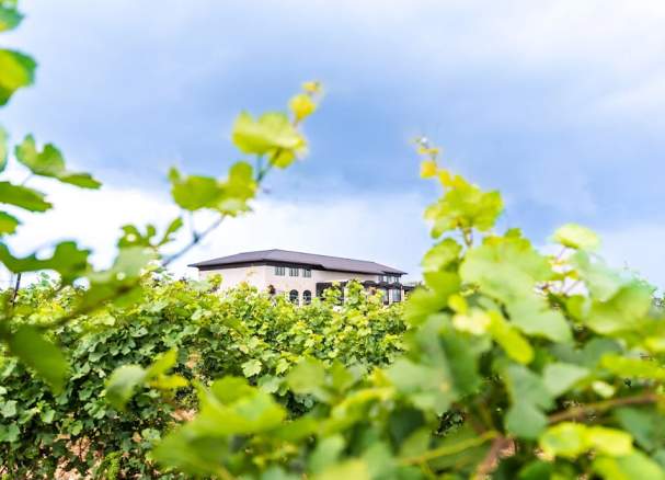 Megalomaniac Winery John Howard Cellars of Distinction
