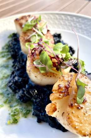 The Pinery scallops
