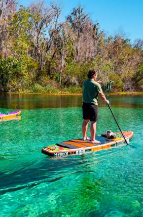 Otter Paddle Orlando