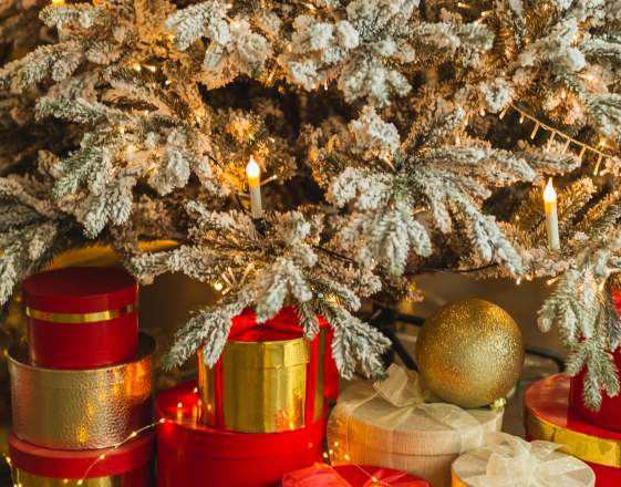 Holiday Greetings