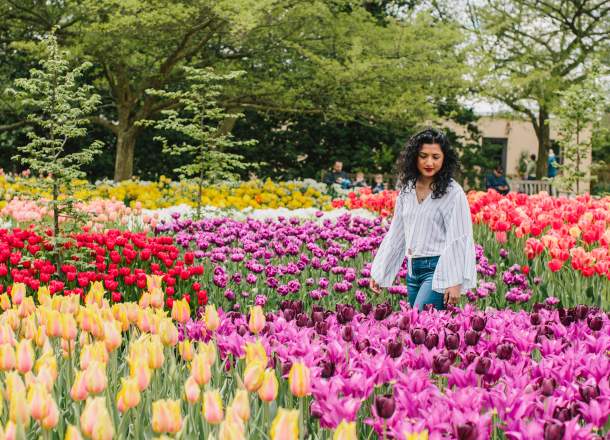 Spring at Longwood Gardens, Women walking through field of tulips