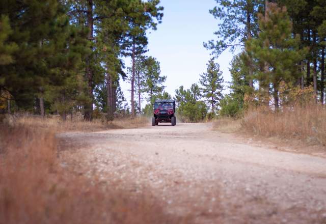 The Best Black Hills ATV Trails Near Rapid City, SD