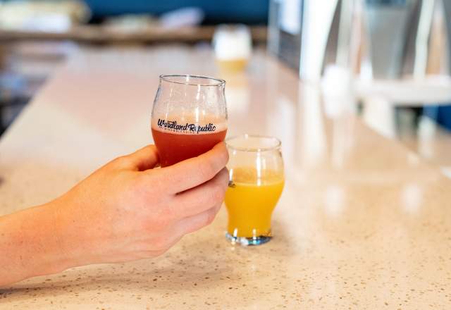 Two sample beer glasses on bar countertop with one held by customer