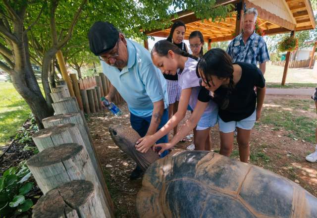 Discover Why Reptile Gardens is One of the Top Rated Family-Friendly Attractions in the Black Hills