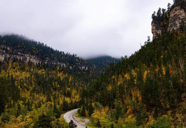 fall colors and fog along the spearfish canyon scenic byway in the black hills of south dakota