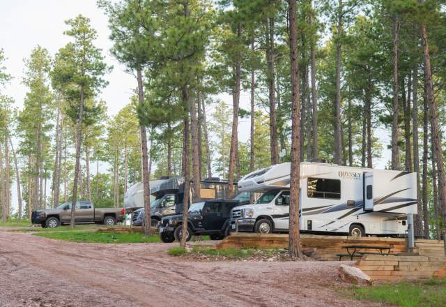 HTR Black Hills