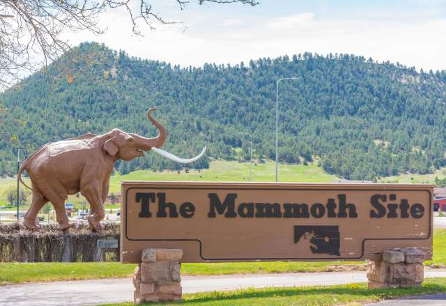 The Mammoth Site of Hot Springs