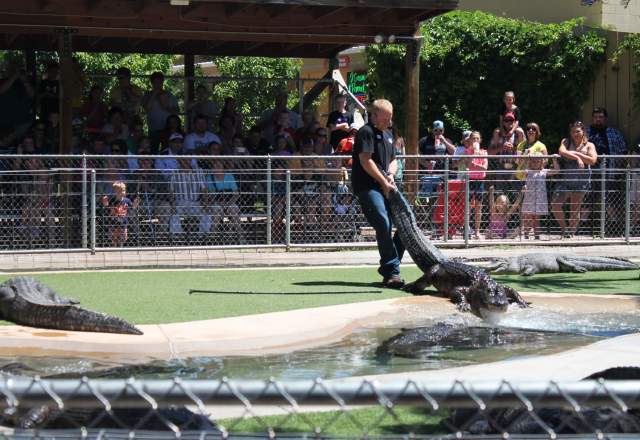 Reptile Gardens