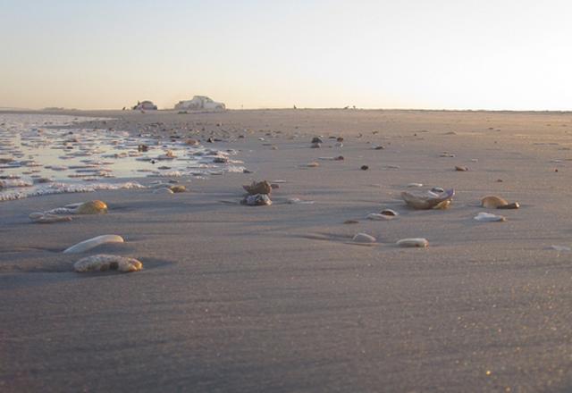 Freeman Park Recreation Area | Carolina Beach, NC 28428