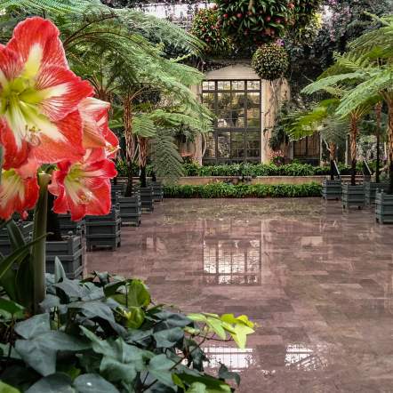 Winter Wonder Longwood - Bob Doerr