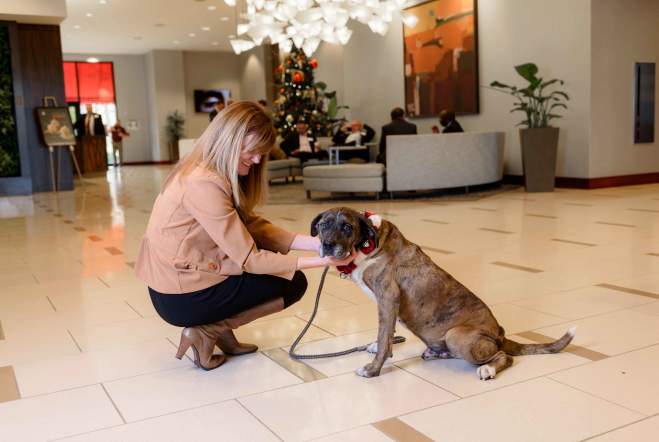 Pet Friendly Hotels in Huntsville/Madison County