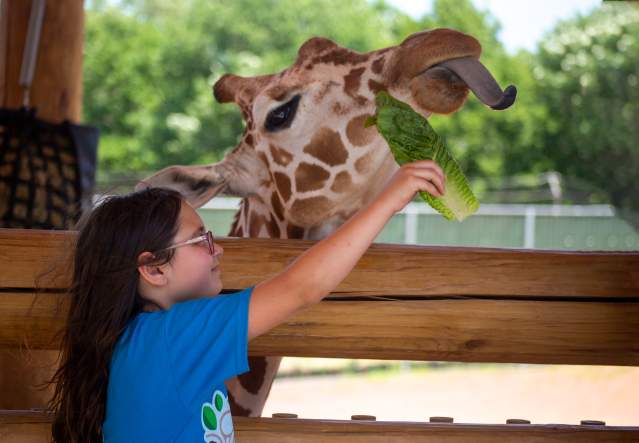 Lincoln Children's Zoo