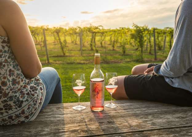 couple enjoying bottle of wine at Galena Cellars Vineyard