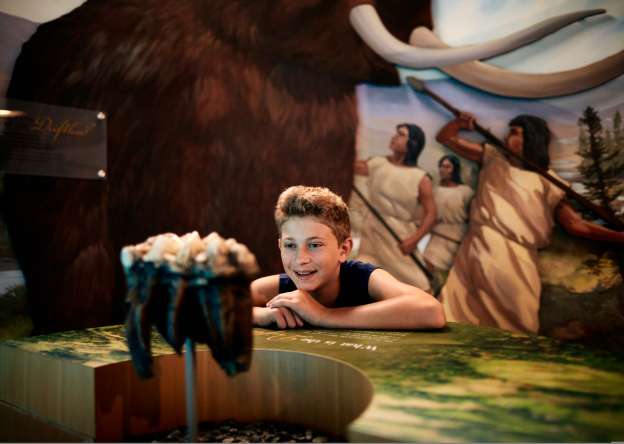 Boy looking at museum exhibit