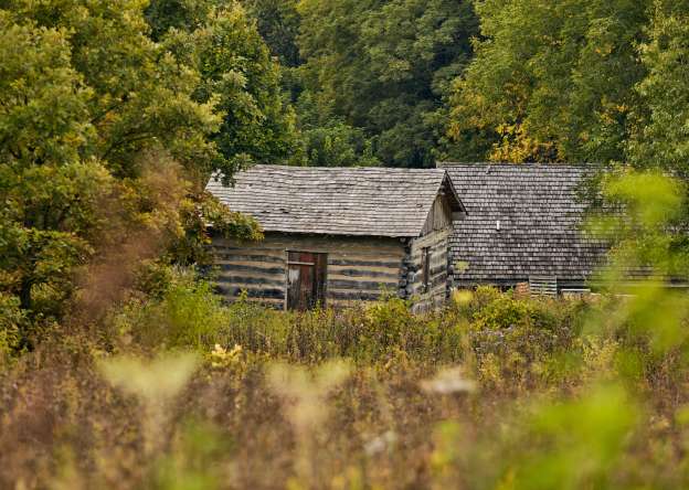 Two wooden, historical buildings lined with trees.