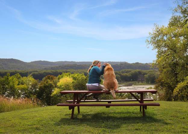 Girl and dog in nature