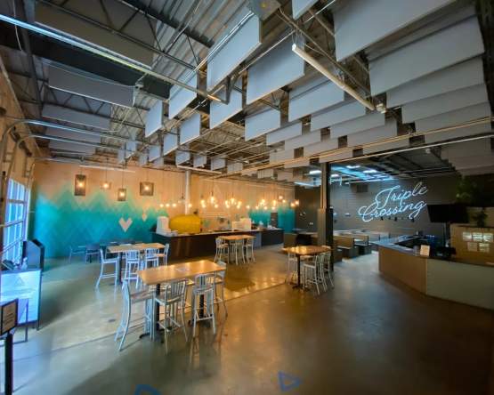 Richmond Oyster Social