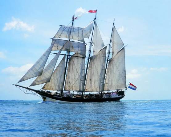 Richmond Sailfest | Sail250®