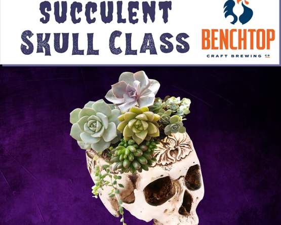 Succulent Skull Class