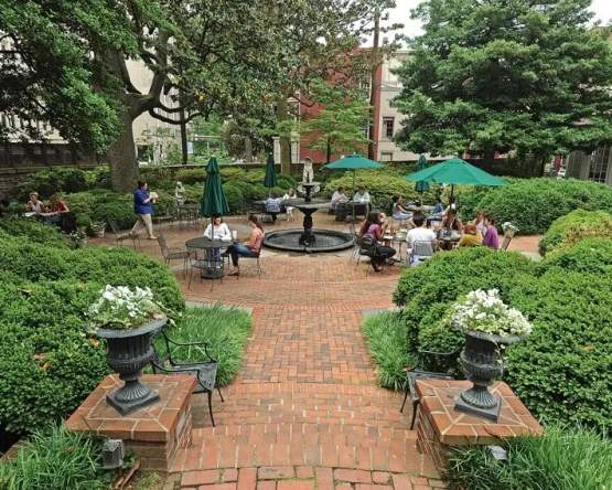 The Garden Social - Easter in Bloom