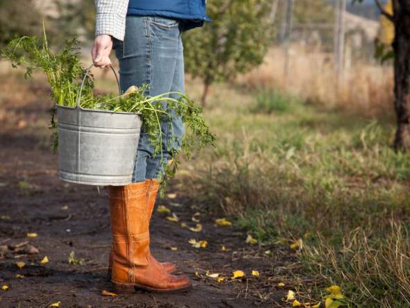 FARMER HOLDING PRODUCE