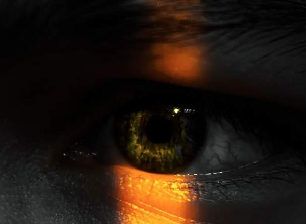 Shedding Light on Human Trafficking