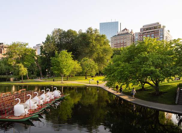 The Newbury Boston: Luxury on Sale