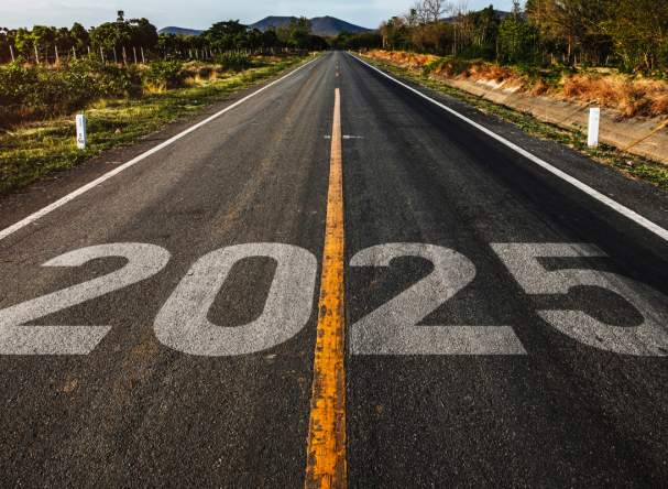 ALHI Strategic Advisers’ Roundtable: Get Ready for 2025