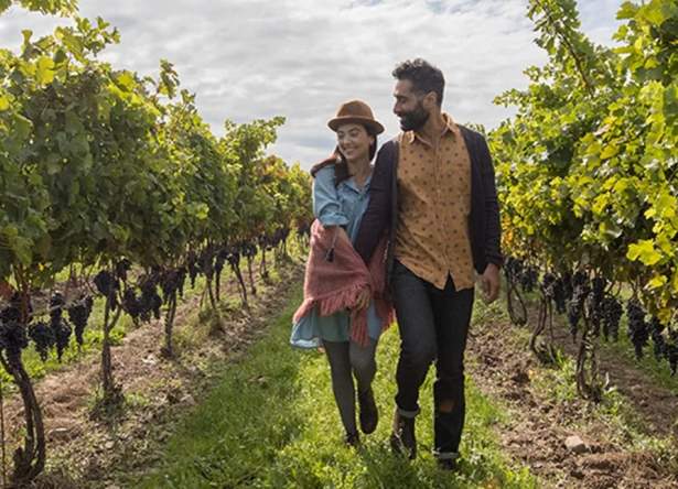 Niagara Wine Country