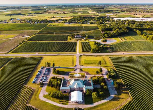 Chateau des Charmes Winery