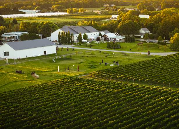 13th Street Winery