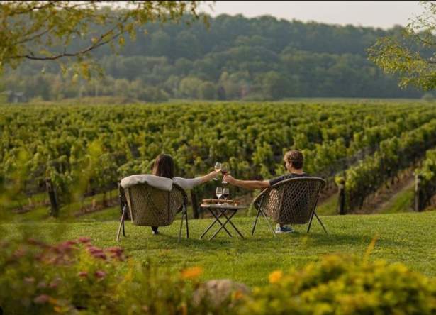Niagara Benchlands Wineries