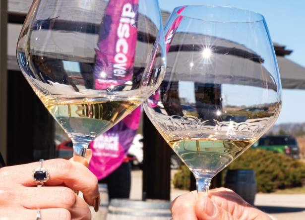Niagara Grape & Wine Festival Fall Discovery Pass