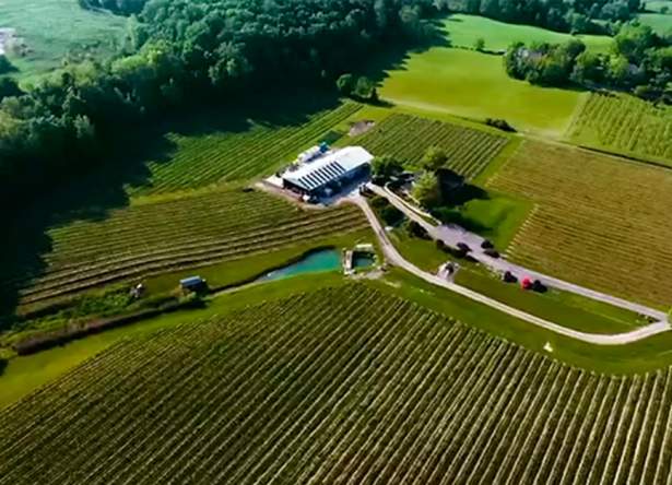 Featherstone Estate Winery & Vineyard