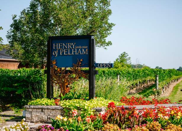 Henry of Pelham Family Estate Winery